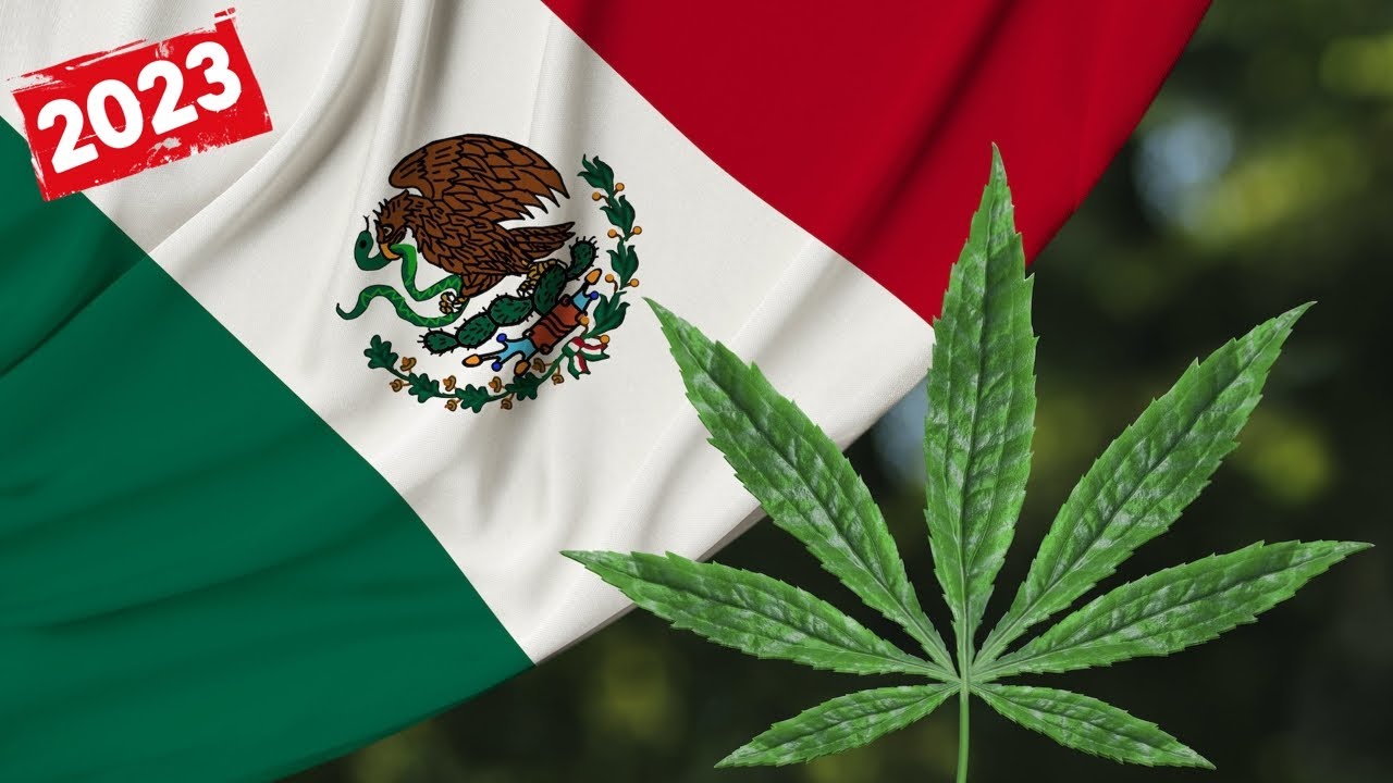 is there dispensaries in mexico city