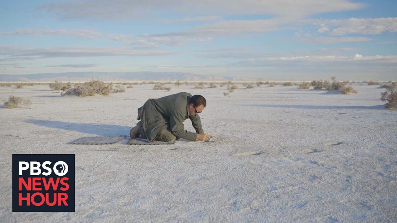 what was the primary motivation for the draining of lake beds in mexico city?